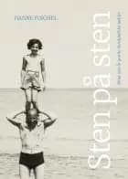 Sten på sten af Hanne Foighel