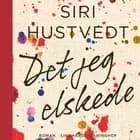 Det jeg elskede af Siri Hustvedt