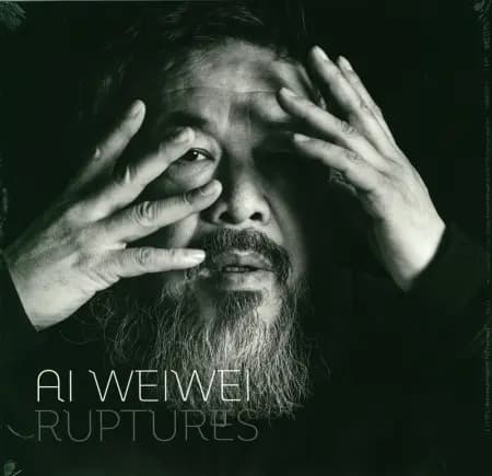 Ai Weiwei, Ruptures af Jens Faurschou