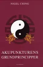 Akupunkturens grundprincipper