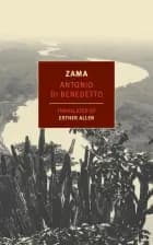 Don Diego de Zama af Antonio Di Benedetto