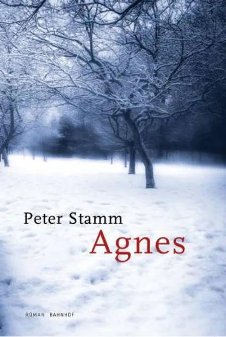 Agnes af Peter Stamm