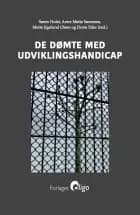 De dømte med udviklingshandicap af Søren Holst, Mette Egelund Olsen og Dorte Eifer og Anne Mette Sørensen