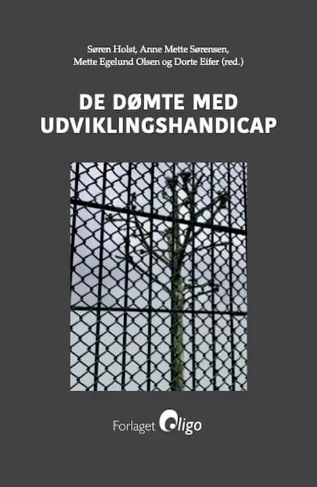 De dømte med udviklingshandicap af Søren Holst