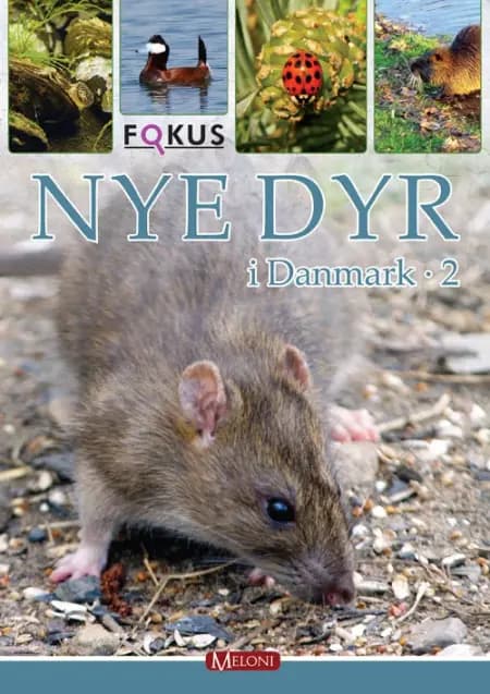 Nye dyr i Danmark af Lars Groth