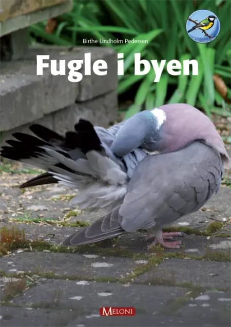Fugle i byen af Birthe Lindholm Pedersen