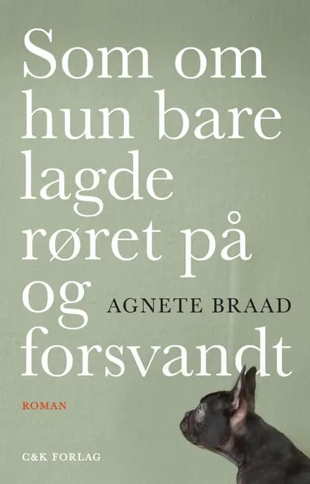 Som om hun bare lagde røret på og forsvandt af Agnete Braad