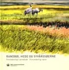 Randbøl Hede og Syvårssøerne af Gert Hougaard Rasmussen