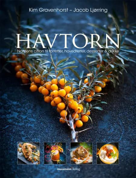 Havtorn af Kim Gravenhorst