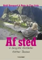 Enke på Harley af Heidi Korsgaard og Mette de Fine Licht