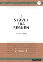 I støvet fra regnen af Magnus Iuel Berg