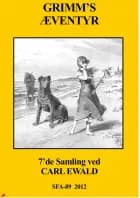 Grimm's Æventyr af Brdr. Grimm