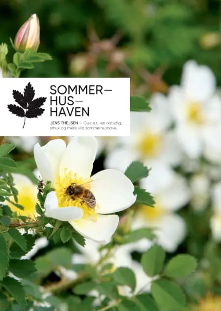 Sommerhushaven af Jens Thejsen