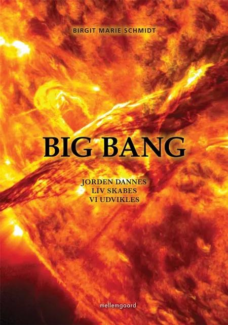 Big Bang af Birgit Marie Schmidt