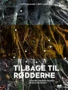 Tilbage til rødderne