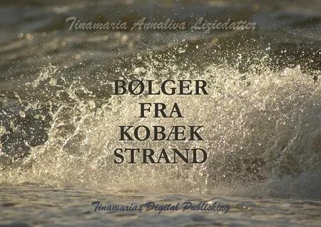 Bølger fra Kobæk Strand af Tinamaria Annaliva Liziedatter