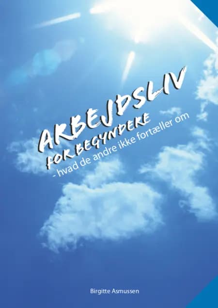 Arbejdsliv for begyndere af Birgitte Asmussen
