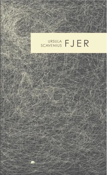 Fjer af Ursula Scavenius