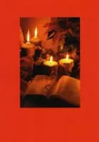 Christmas stories for everybody af Jette Steen