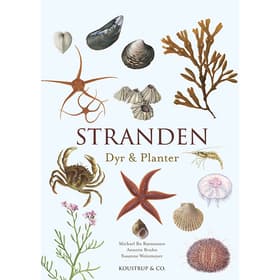 Stranden af Annette Bruhn