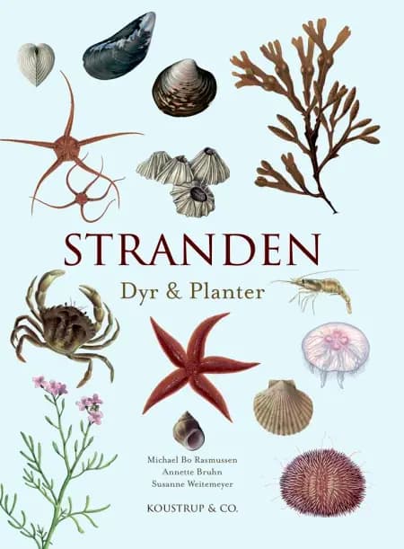 Stranden af Annette Bruhn