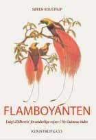 Flamboyanten af Søren Koustrup