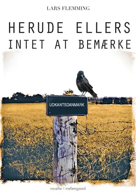 Herude ellers intet at bemærke af Lars Flemming