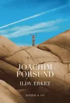 Ildværket af Joachim Førsund