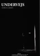 Undervejs af Tobias Larsen