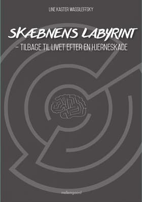 Skæbnens labyrint af Line Kaster Wassileffsky