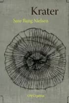 Krater af Sine Bang Nielsen