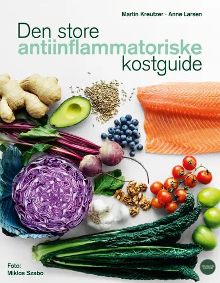 Den store antiinflammatoriske kostguide af Anne Larsen