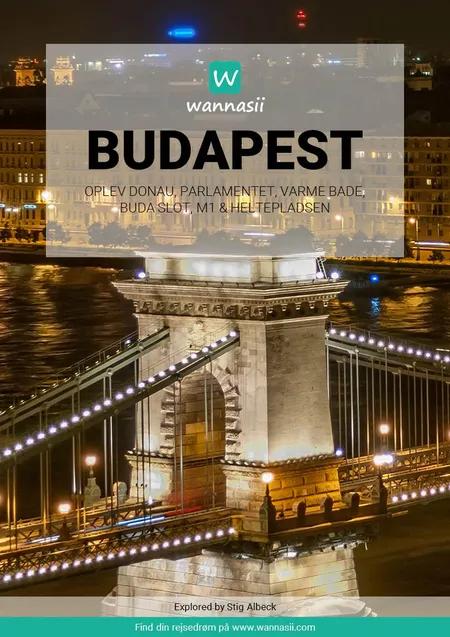Budapest af Stig Albeck