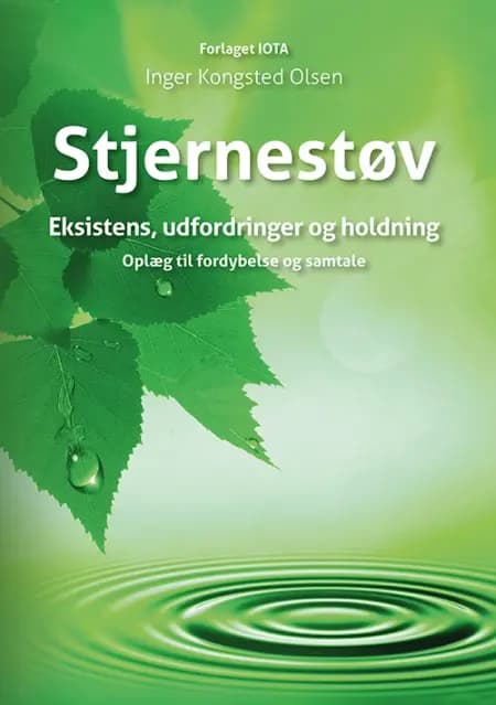 Stjernestøv af Inger Kongsted Olsen