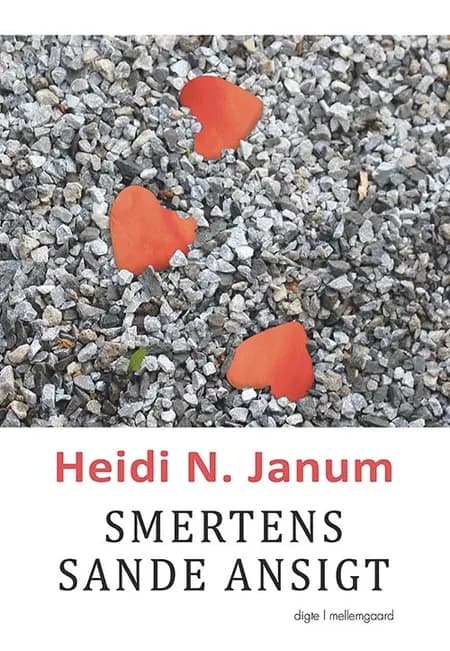 Smertens sande ansigt af Heidi N. Janum