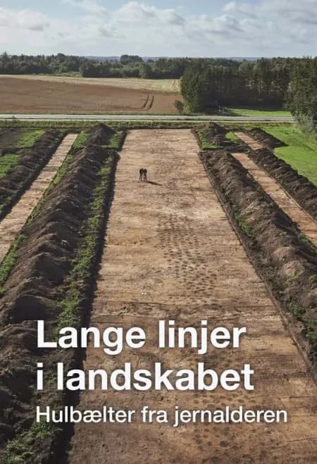 Lange linjer i landskabet af n a