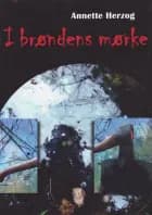 I brøndens mørke af Annette Herzog