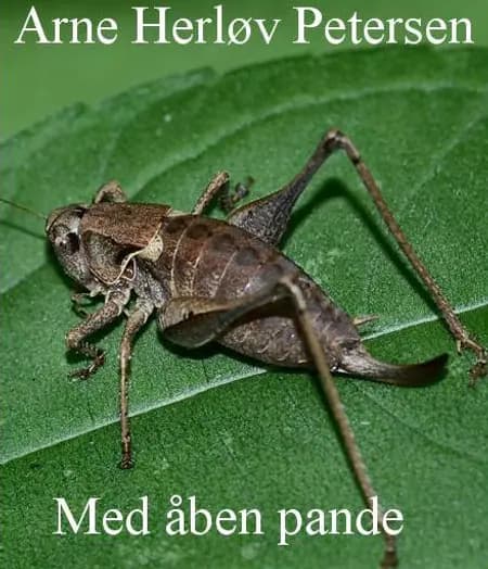 Med åben pande af Arne Herløv Petersen