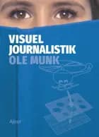 Visuel journalistik