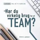 Har du virkelig brug for et team? af Lars Stig Duehart