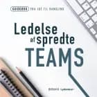 Ledelse af spredte teams af Lars Stig Duehart
