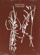 Rune Bosse: Circularis af Michael Kjær, Nikolaj Schultz og Lærke Lyhne