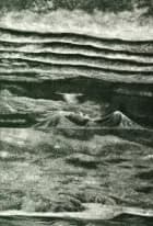 Nya Pangea af Linus Gårdfeldt