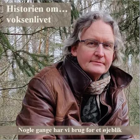 Historien om... voksenlivet af Stig Seberg