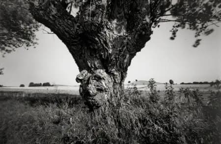 Hindsholm af Finn Thrane