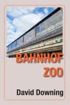 Bahnhof ZOO af David Downing