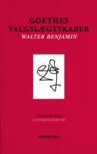 Goethes valgslægtskaber af Walter Benjamin