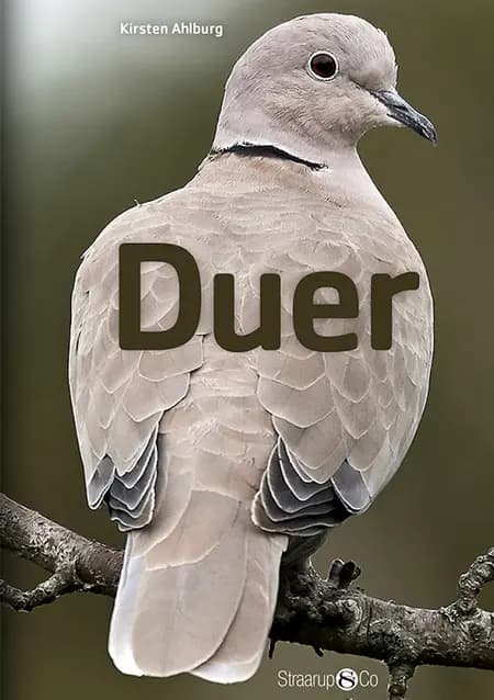 Duer af Kirsten Ahlburg