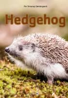 Hedgehog af Per Straarup Søndergaard
