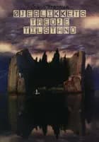 Øjeblikkets tredje tilstand af Jakob Brønnum